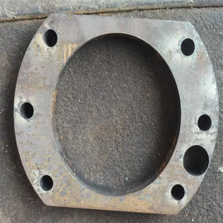 Stainless Steel Pipe Flange suppliers